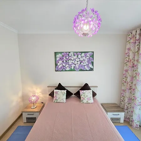 公寓 Rocha Prime Center Garage Flat